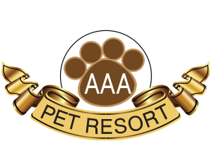 AAA Pet Resort Gold Coast