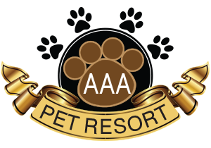 AAA Pet Resort Gold Coast